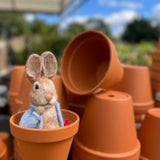 Peter Rabbit, Needle Felting Kit