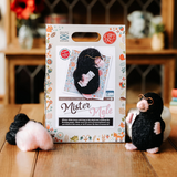 Mr. Mole Needle Felting Kit