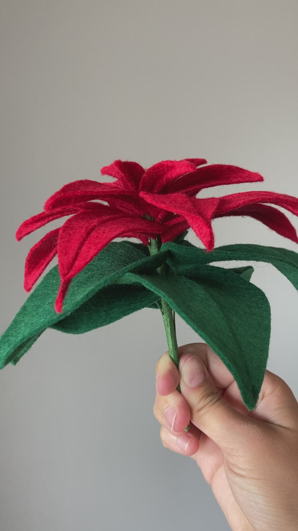 Classic Poinsettia, Deep Etch Die