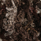Wensleydale Curls, Morel Brown