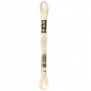 Coordinating DMC Floss 746