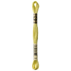 green embroidery floss, DMC 165