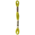 green embroidery floss, DMC 166