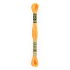 orange embroidery floss, yellow embroidery floss, DMC 19