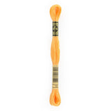 orange embroidery floss, yellow embroidery floss, DMC 19