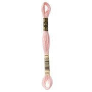 DMC Embroidery Floss, Pink Palette - 225 / Plié