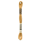 brown embroidery floss, DMC 3045