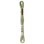 green embroidery floss, DMC 3053