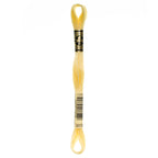 yellow embroidery floss, DMC 3078