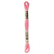 DMC Embroidery Floss, Pink Palette - 3326 / Begonia