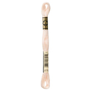 DMC Embroidery Floss, Brown Palette - 3770 / Meringue