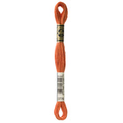 Coordinating DMC Embroidery Floss 3776