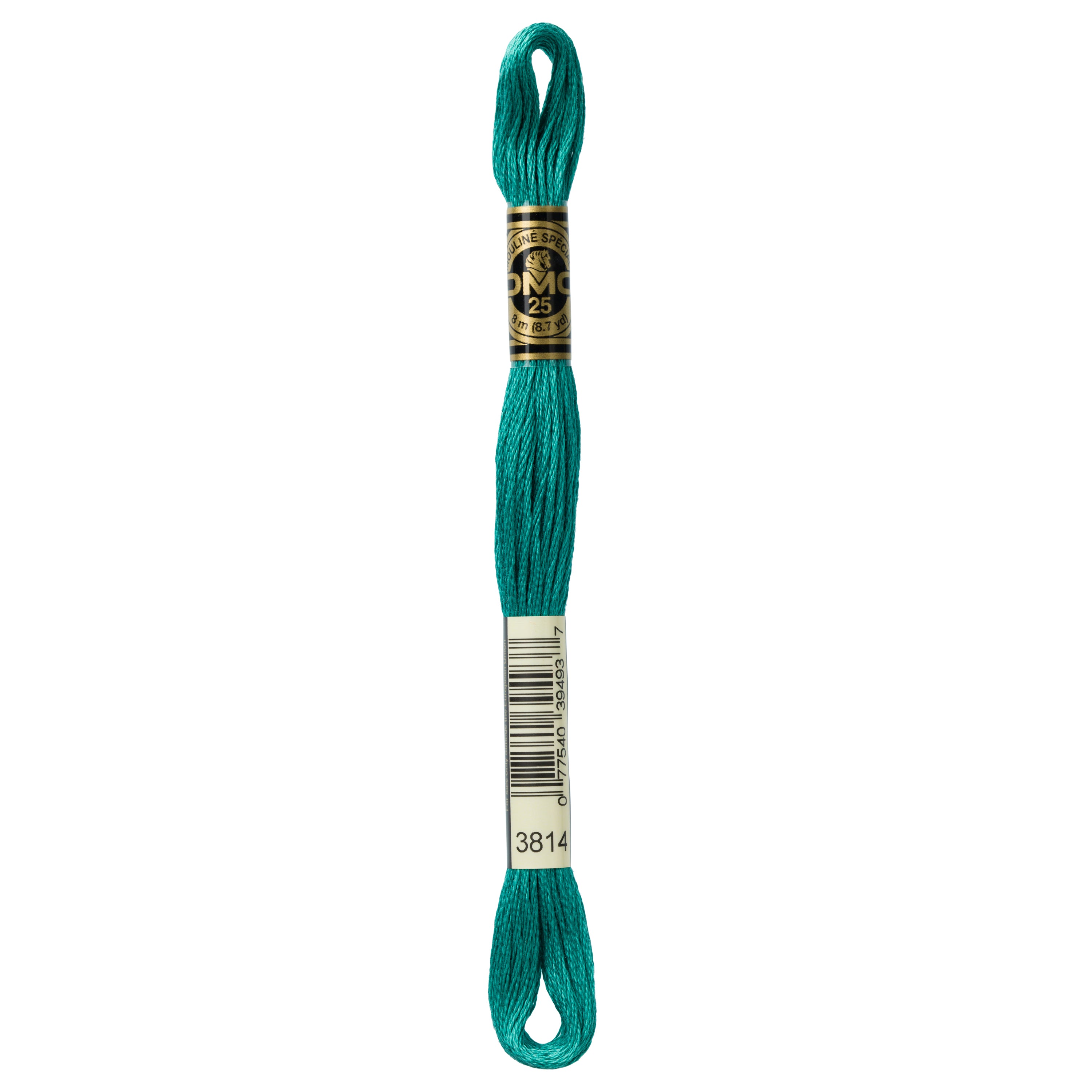 green embroidery floss, DMC 3814