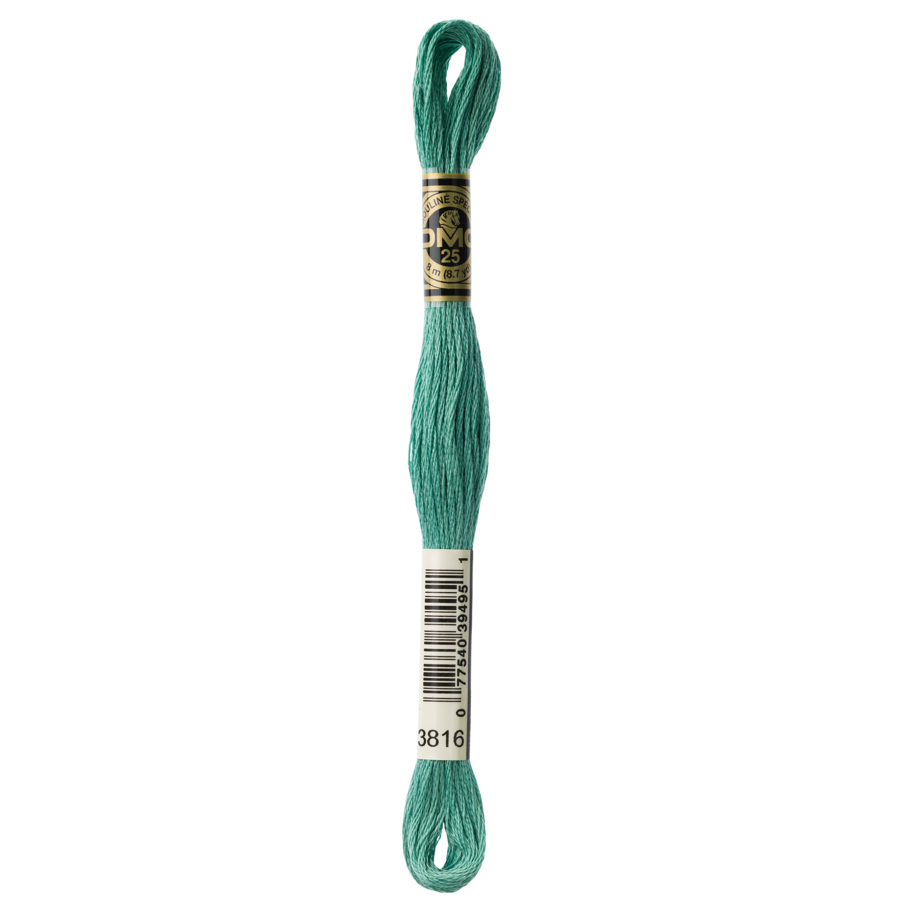 green embroidery floss, DMC 3816