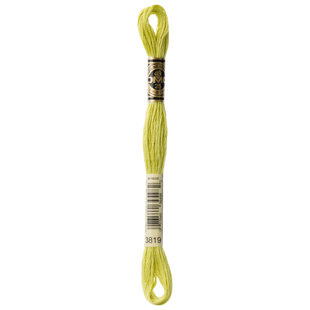 green embroidery floss, DMC 3819