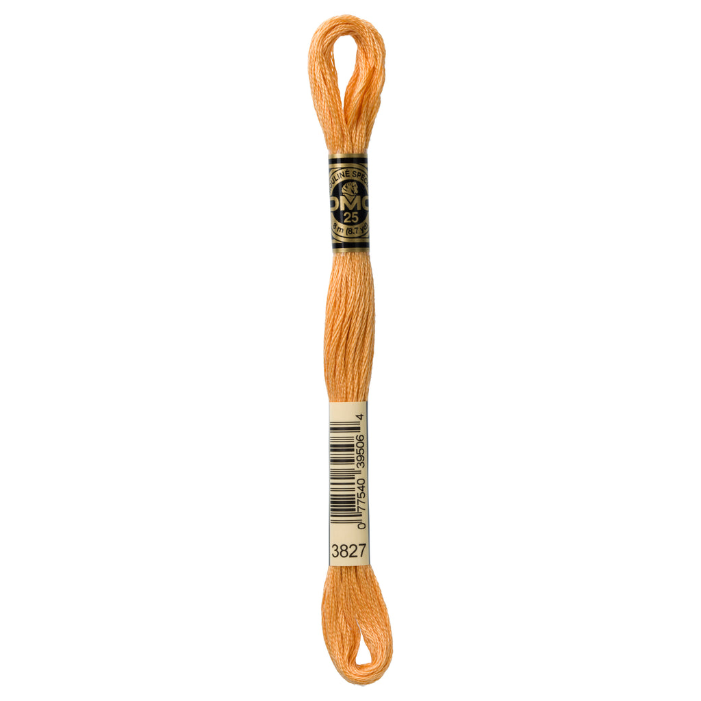brown embroidery floss, DMC 3827