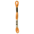 brown embroidery floss, DMC 3827