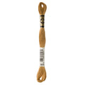brown embroidery floss, DMC 3828