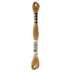 brown embroidery floss, DMC 3828