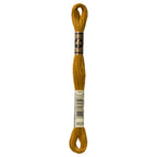 brown embroidery floss, DMC 3829