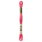 DMC embroidery floss, burgundy embroidery floss, DMC 3833