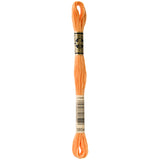 orange embroidery floss, DMC 3854