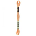 orange embroidery floss, peach embroidery floss, DMC 3856