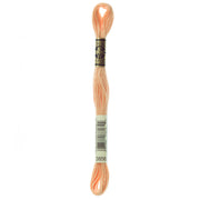 Coordinating DMC Embroidery Floss 3856