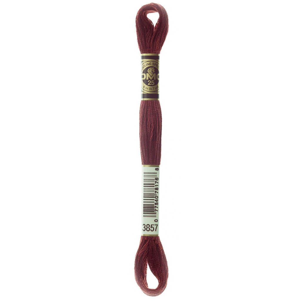 brown embroidery floss, DMC 3857