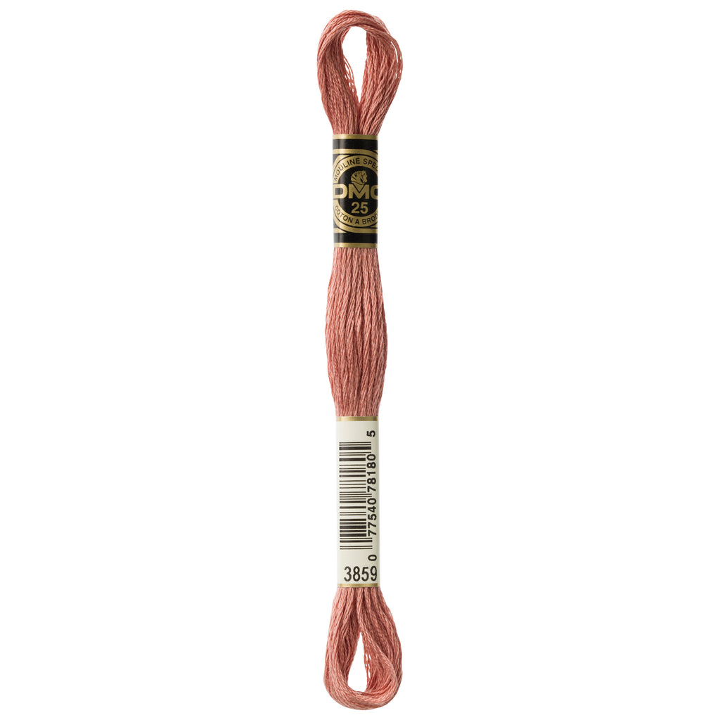 brown embroidery floss, DMC 3859