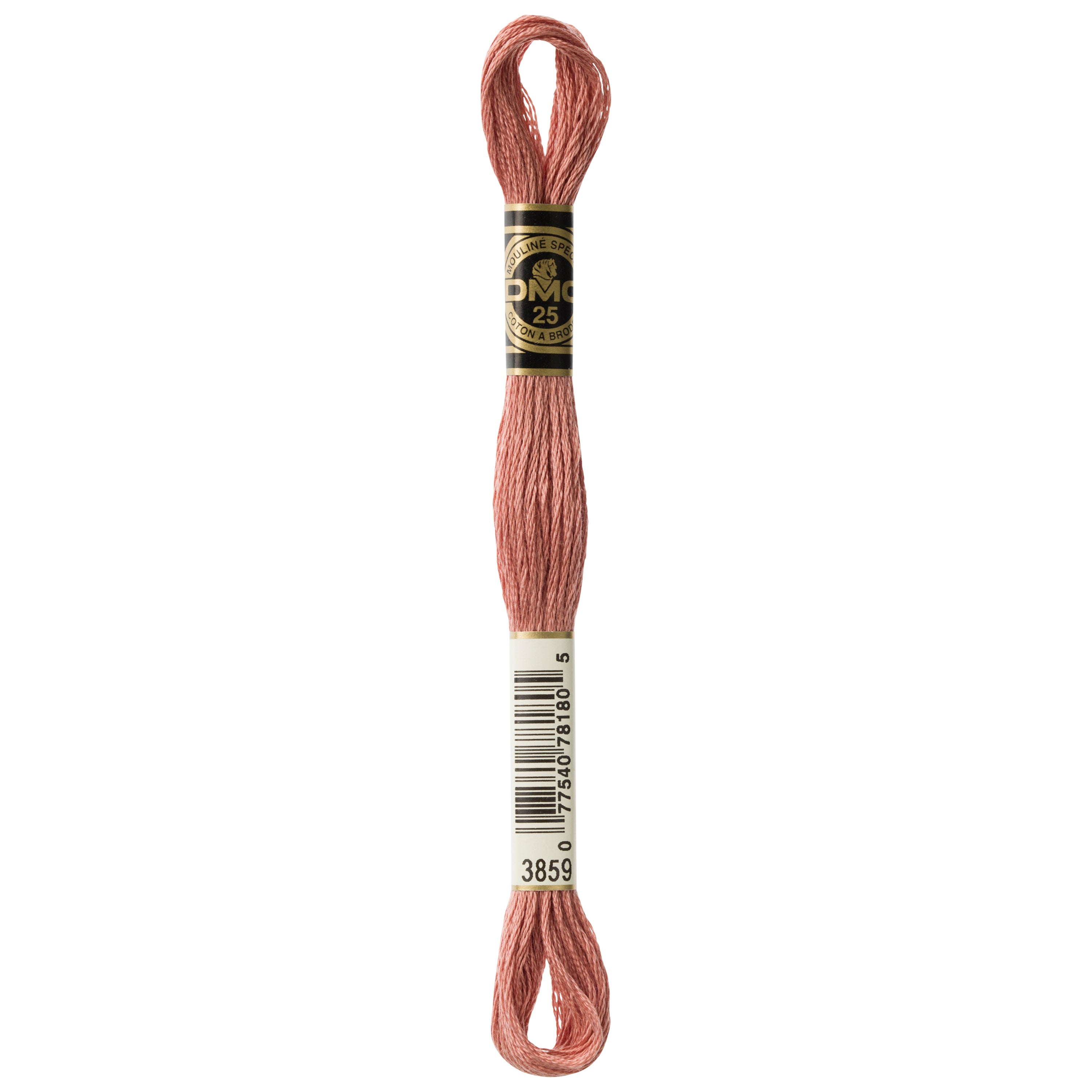 brown embroidery floss, DMC 3859