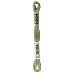 green embroidery floss, DMC 523