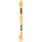 tan embroidery floss, brown embroidery floss, DMC 676