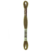 DMC Embroidery Floss, Green Palette - 730 / Zucchini