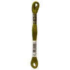 green embroidery floss, DMC 732