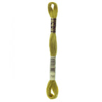 green embroidery floss, DMC 733