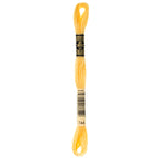 yellow embroidery floss, DMC 744