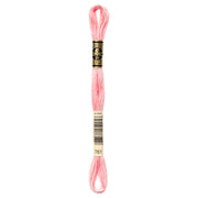 DMC Embroidery Floss, Pink Palette - 761 / Tellina