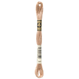 brown embroidery floss, tan embroidery floss, DMC 841