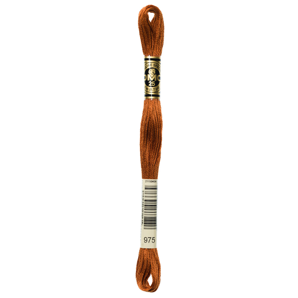 brown embroidery floss, DMC 975