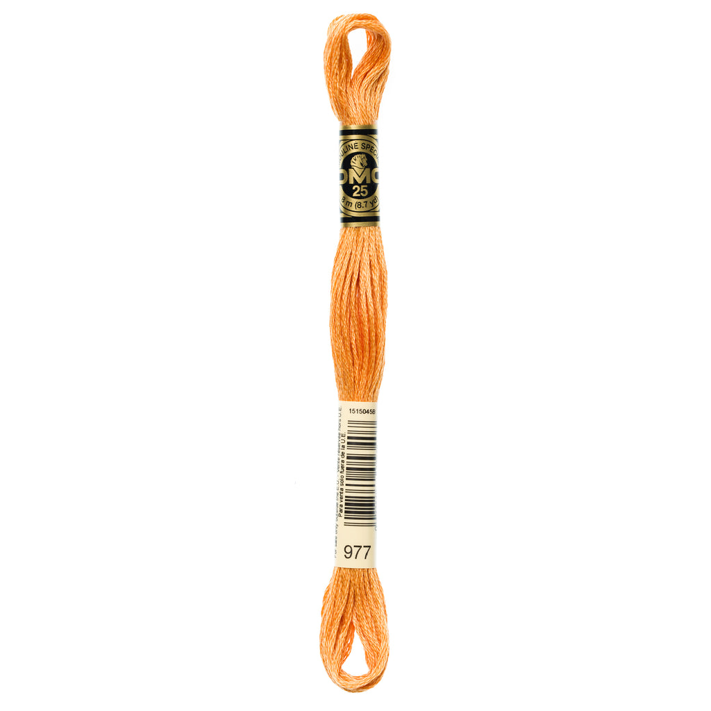 brown embroidery floss, DMC 977
