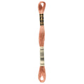 DMC Embroidery Floss, Brown Palette