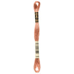 DMC Embroidery Floss, Brown Palette