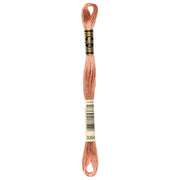 DMC Embroidery Floss, Brown Palette - 3064 / Latte
