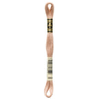 DMC Embroidery Floss, Brown Palette