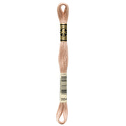 DMC Embroidery Floss, Brown Palette - 3864 / Seaside