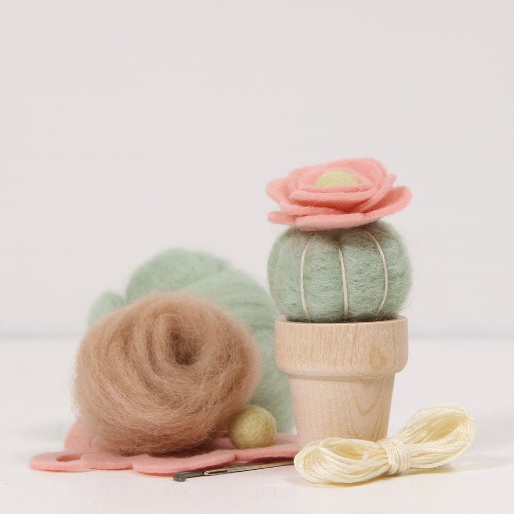 Kissbuty Full Range of Needle Felting Kit, Cactus Wool Felted Set for Adults and Beginners Including Wool Roving for 8 Succulents, Foam Mat, Glass