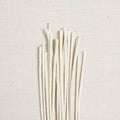 Pipe Cleaners