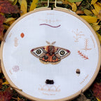 Moth Embroidery Stitch Sampler