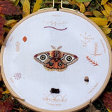 Moth Embroidery Stitch Sampler